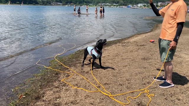 夏の旅行の記事動画