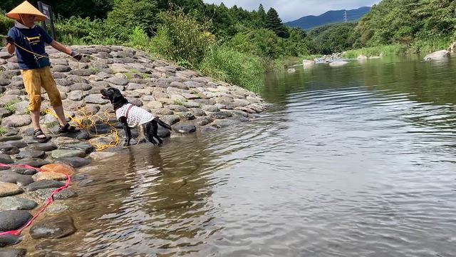 夏の旅行の記事動画