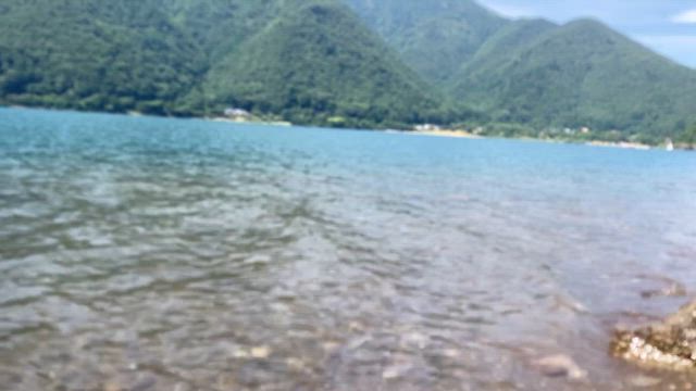 桃狩りの記事動画
