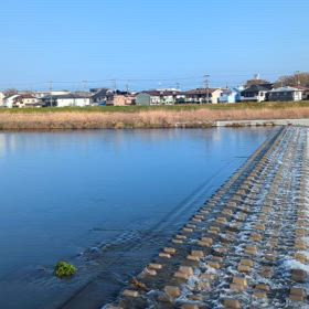 春の小川の画像