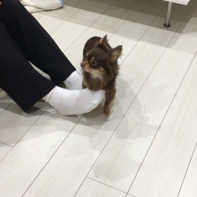 GWのサムネイル画像