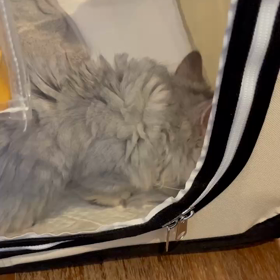食べた⭐️⭐️の画像