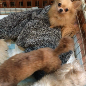 はじめてのの画像