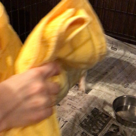 夜のルーティーンの画像