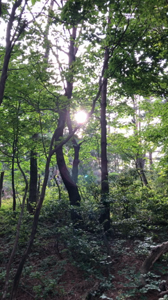 Good morning  赤坂山　　パート①の記事動画