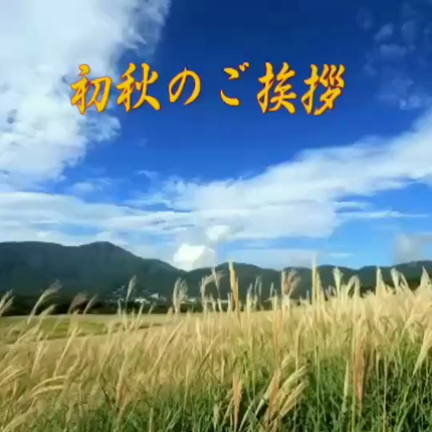 秋ですねの記事動画