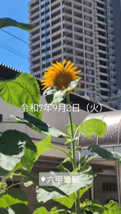 みどりと彫刻の記事動画