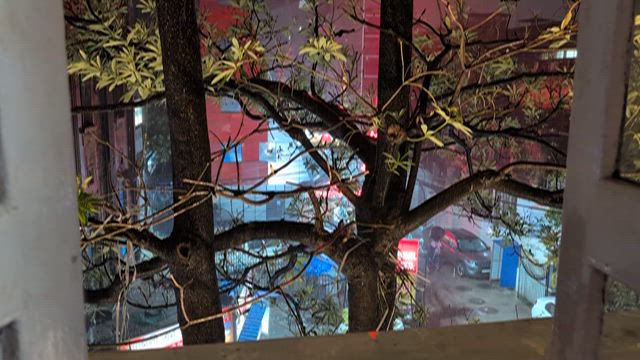 2026インド㉓素晴らしいおもてなしに心もお腹もいっぱい！の記事動画