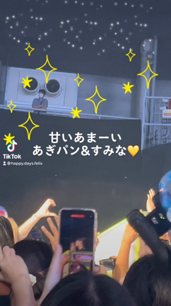 スキズ　トロッコ動画ラストはかわいいあぎパン&スミナ♡の記事動画