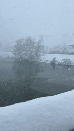 雪かきに救世主現る‼の記事動画