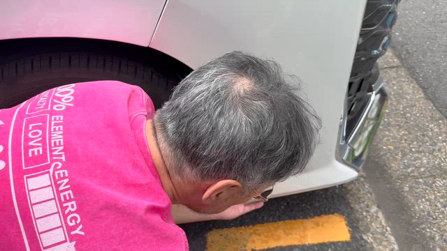 恐ろしいランチの記事動画