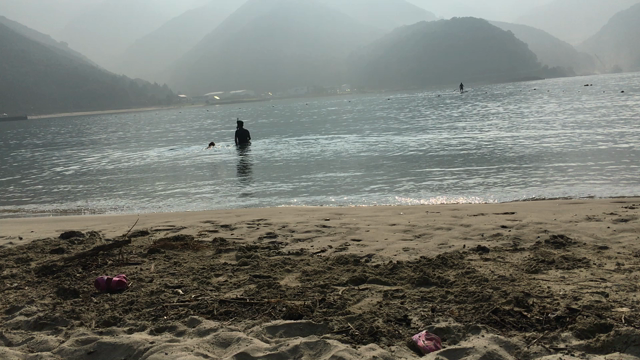 ぺぺくんと海（11ヶ月＋25日）の記事動画