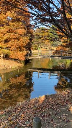 アンデルセン公園の記事動画