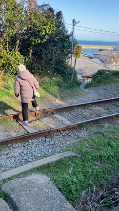松山の記事動画