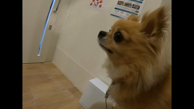 ドラム動画のアングルのバリエーション増えたよん。の記事動画