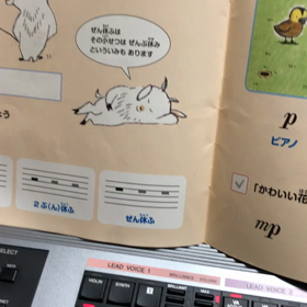 今日のレッスン 動画の画像