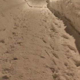 ポンタ元気です！の画像
