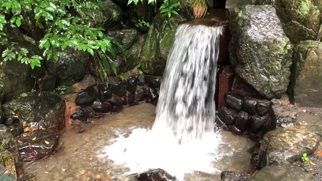 感謝・感謝の夏越しの大祓いの記事動画