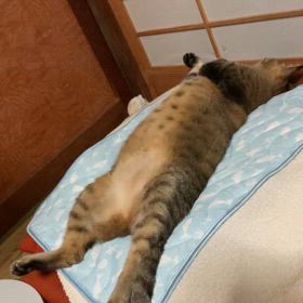 なかなかじゃない？の画像