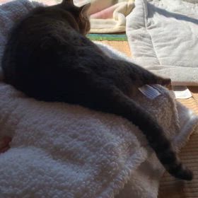 あぁの画像