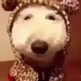 悩み事の画像