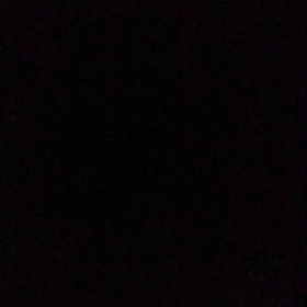 蛍の画像