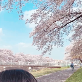 仙台からの生徒さんとピクニックの画像