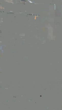 夫婦鯉、金シャチホコ！の記事動画