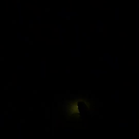 洗濯日和、最高！！の画像