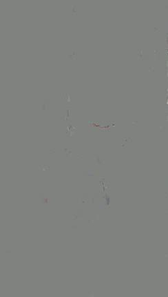 モーニングメッセージ！の記事動画