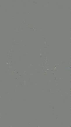 モーニングメッセージ！の記事動画