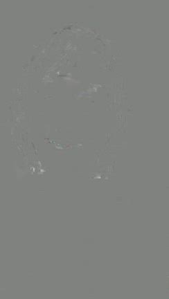 モーニングメッセージ！の記事動画