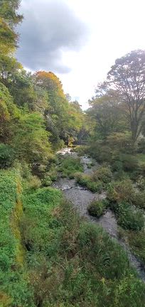 静岡の旅~10月編part１~☆の記事動画
