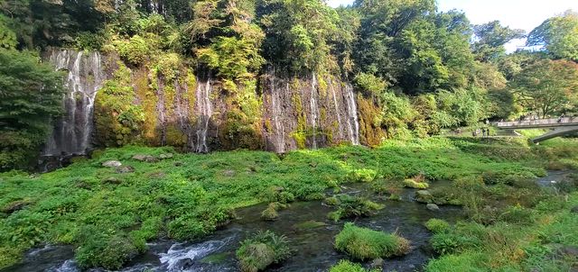 静岡の旅~10月編part１~☆の記事動画