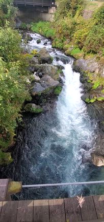 静岡の旅~10月編part１~☆の記事動画