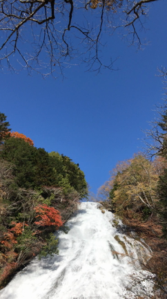紅葉の見頃は日光でもなく鬼怒川でもなく○○でした♪の記事動画