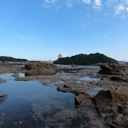 スキューバダイビングは体重コントロールにもなるの巻の記事動画
