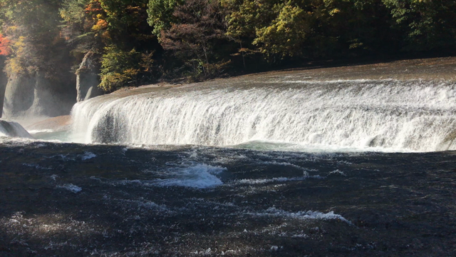 紅葉の見頃は日光でもなく鬼怒川でもなく○○でした♪の記事動画