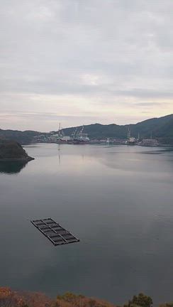 笠戸島のお宿「大城」さんの素晴らしい対応✨✨✨の記事動画