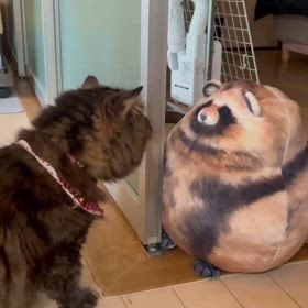 お気を付け下さい⁉の画像