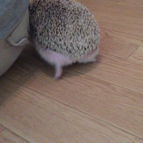 まだ〜？の画像