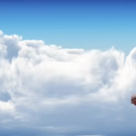 モモイロインコ が空を飛ぶの画像