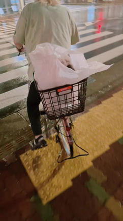 大雨の記事動画