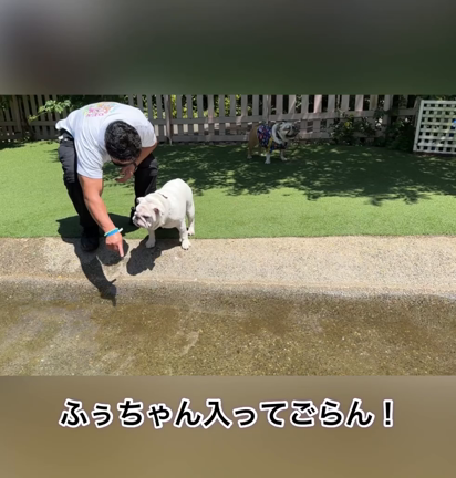 母ふぅらを助ける娘むぎちゃの記事動画