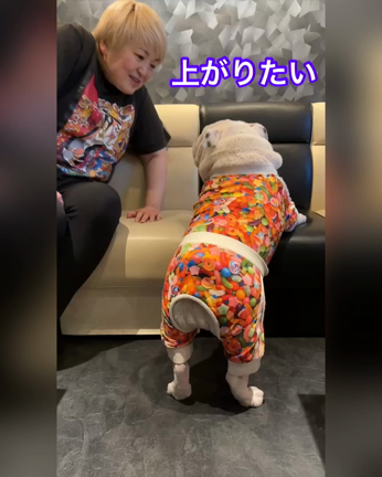 演技するふぅらの記事動画