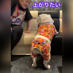 演技するふぅらの画像