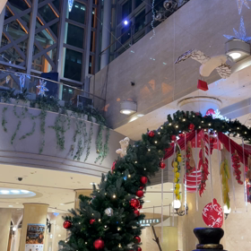 少し早いメリークリスマスの画像