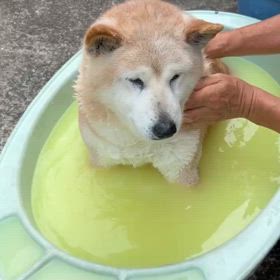 入浴中の画像