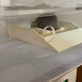 触らないで！の画像