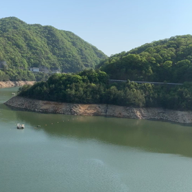 森林浴の画像
